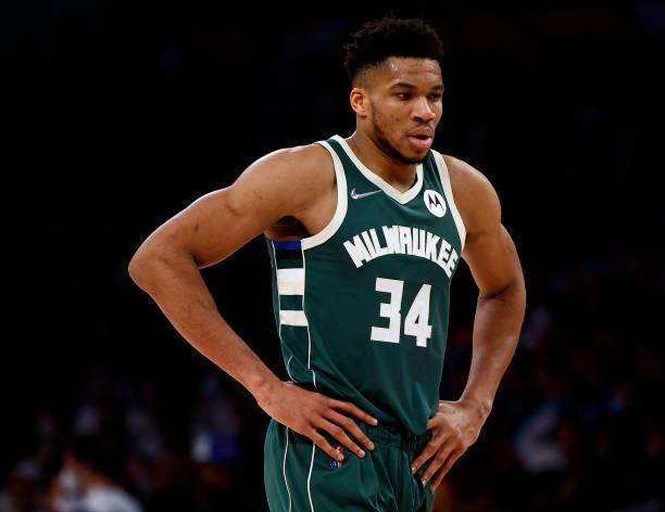 度俱佳的新 度俱佳的新