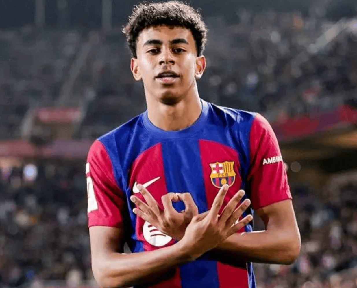 二队体系 二队体系